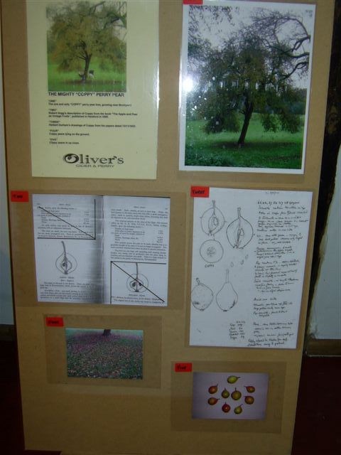 Tom Oliver's Coppy detective board