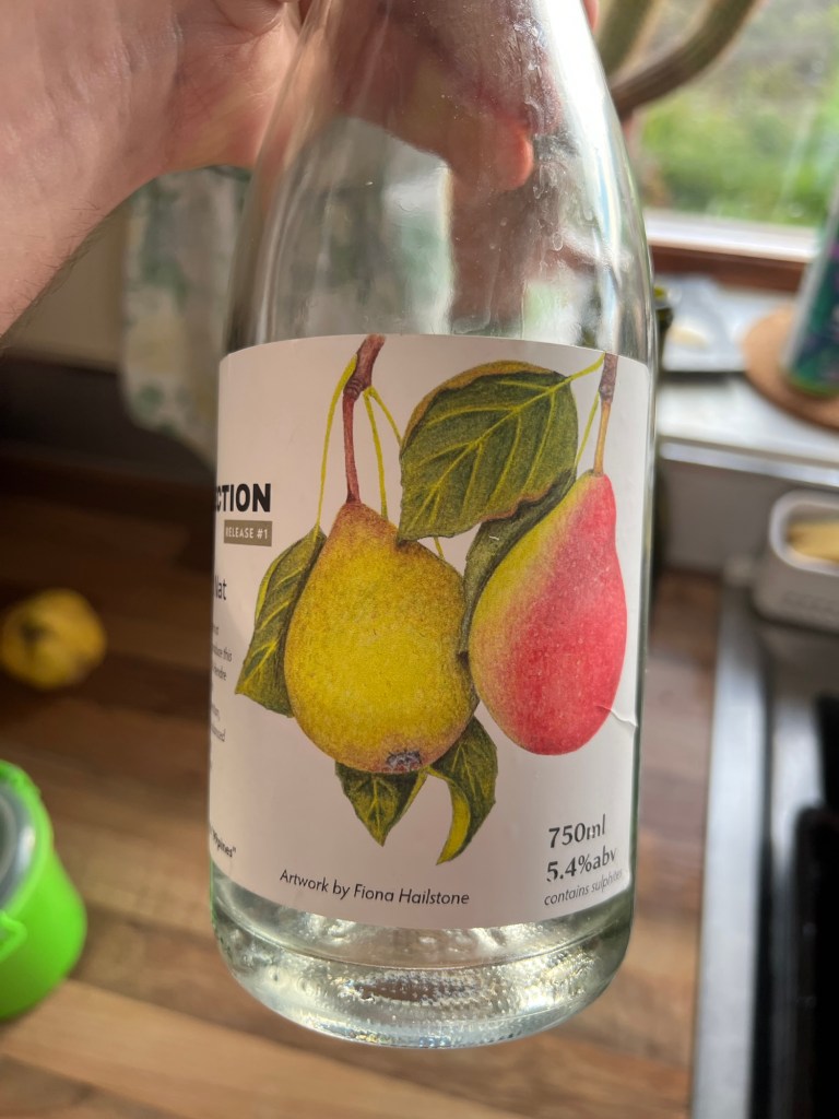 Fiona Hailstone's beautiful artwork