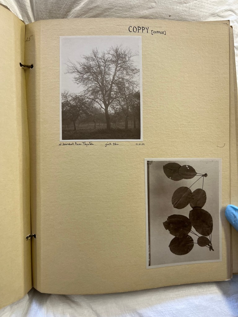 Herbert' Durham's photos of Coppy