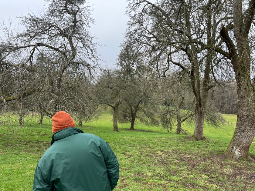 Tom Oliver in an old perry pear orchard