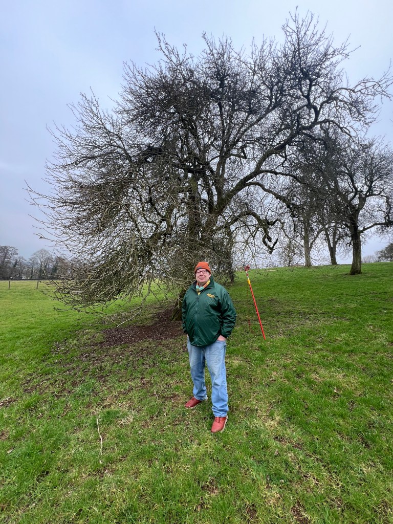 Tom Oliver in front of the Coppy tree