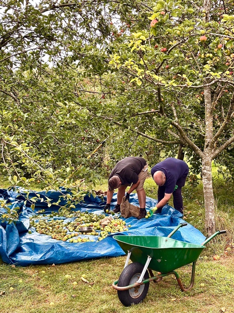 Brennans hard at work picking fruit