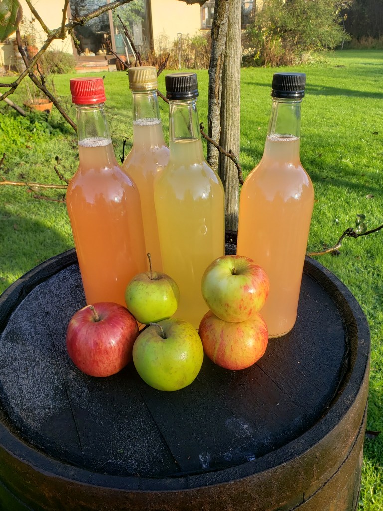 Lots of different colours of apples and juice