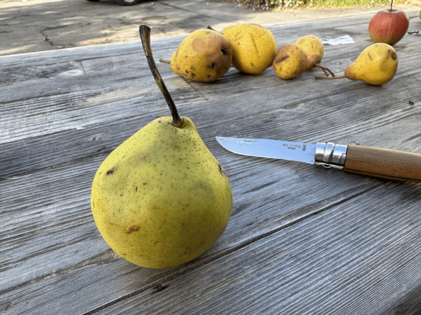Perry pear and knife