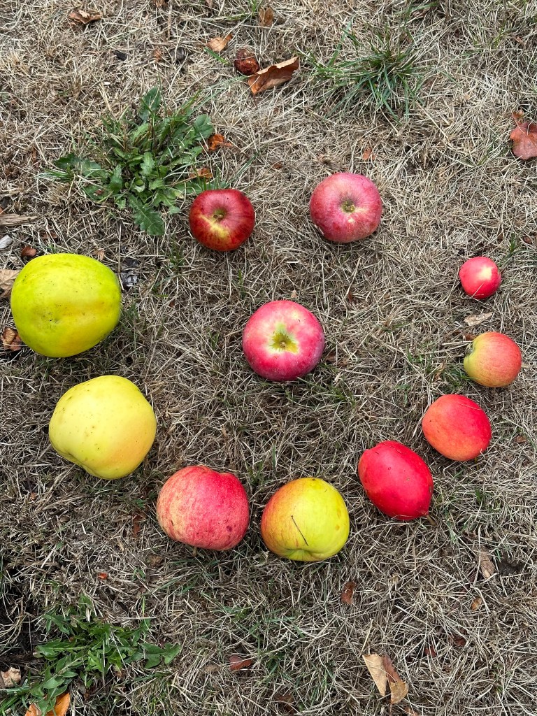 A smiling face selection of apples