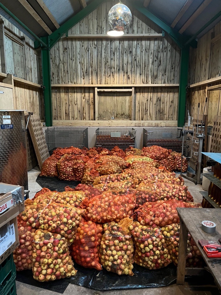 Smith Hayne's apple haul for Harvest 2025
