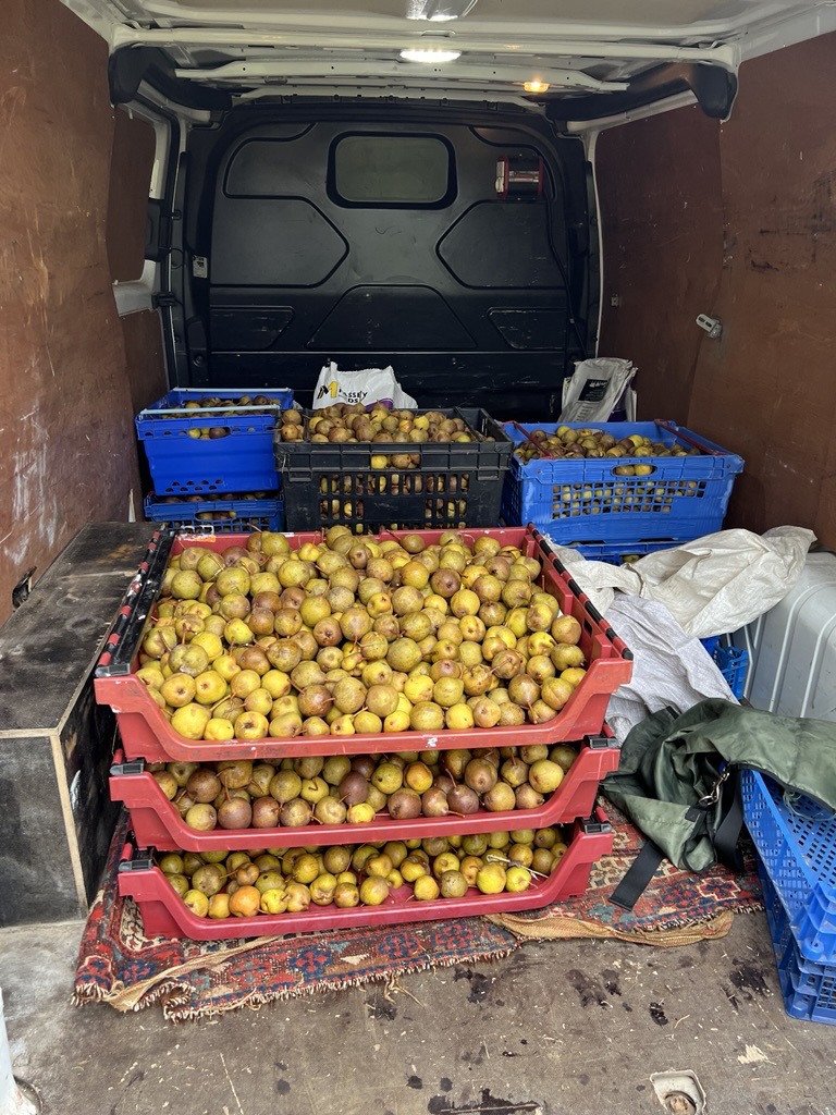 A van full of perry pears