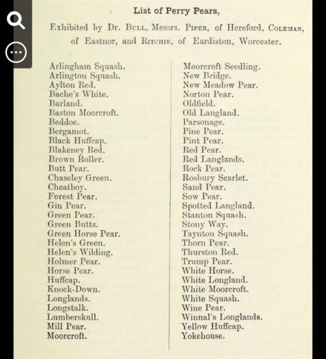 A selection of perry pears exhibited at the National Pear Conference