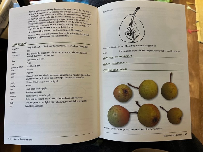 Cheat Boy entry in Charles Martell's Perry Pears book