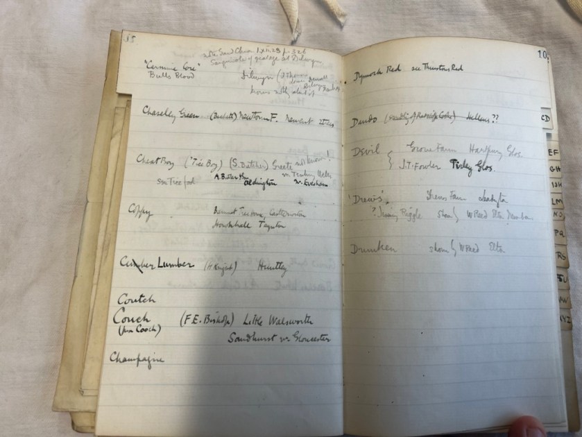 Under the letter C we find Cheat Boy!