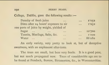 the second part of Hogg & Bull's description of Cheat Boy