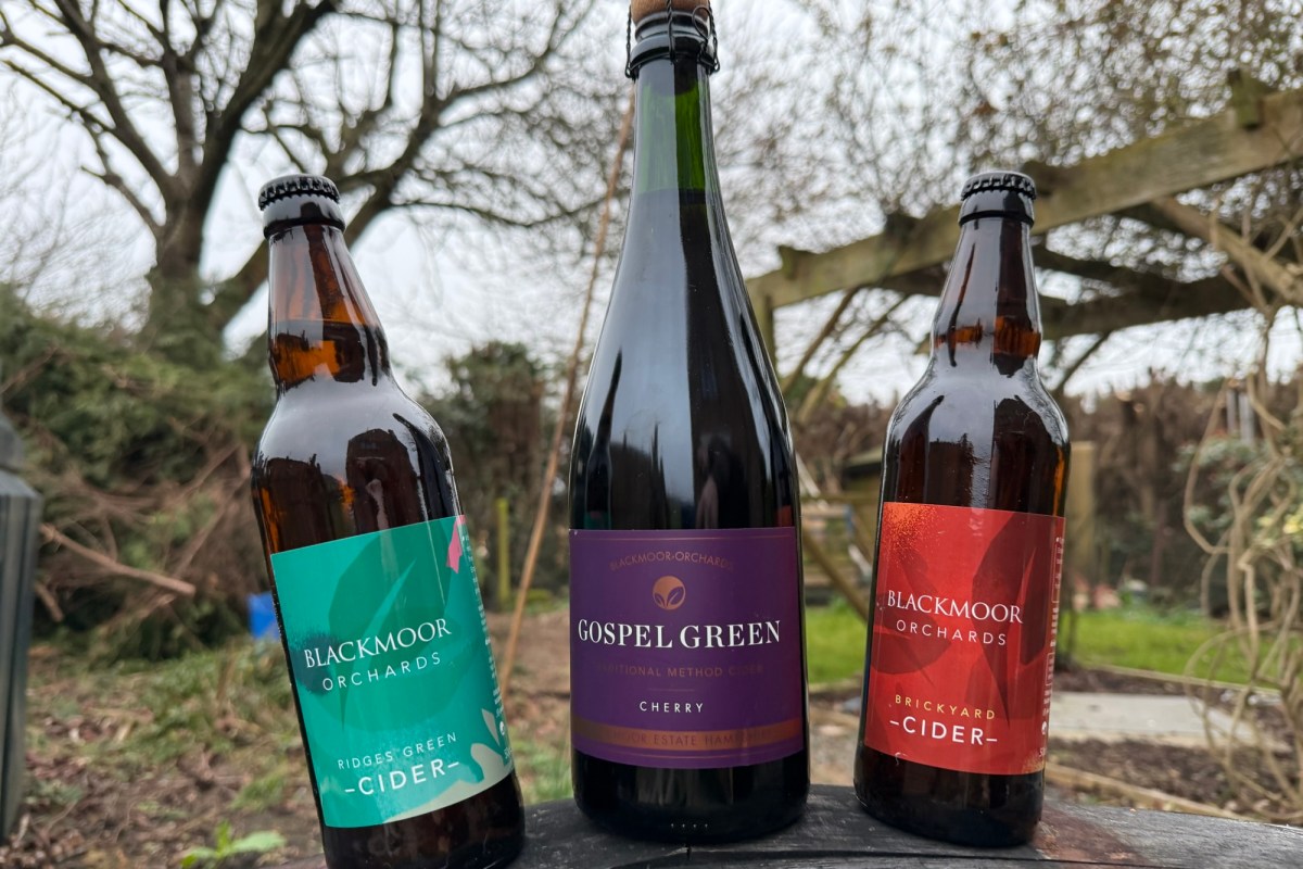 Three bottles of cider from Gospel Green and Blackmoor Orchards