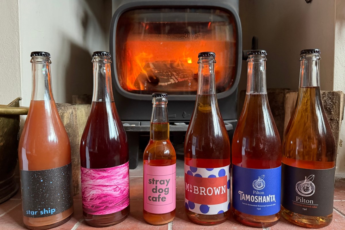 A collection of Pilton Cider bottlings in front of the stove