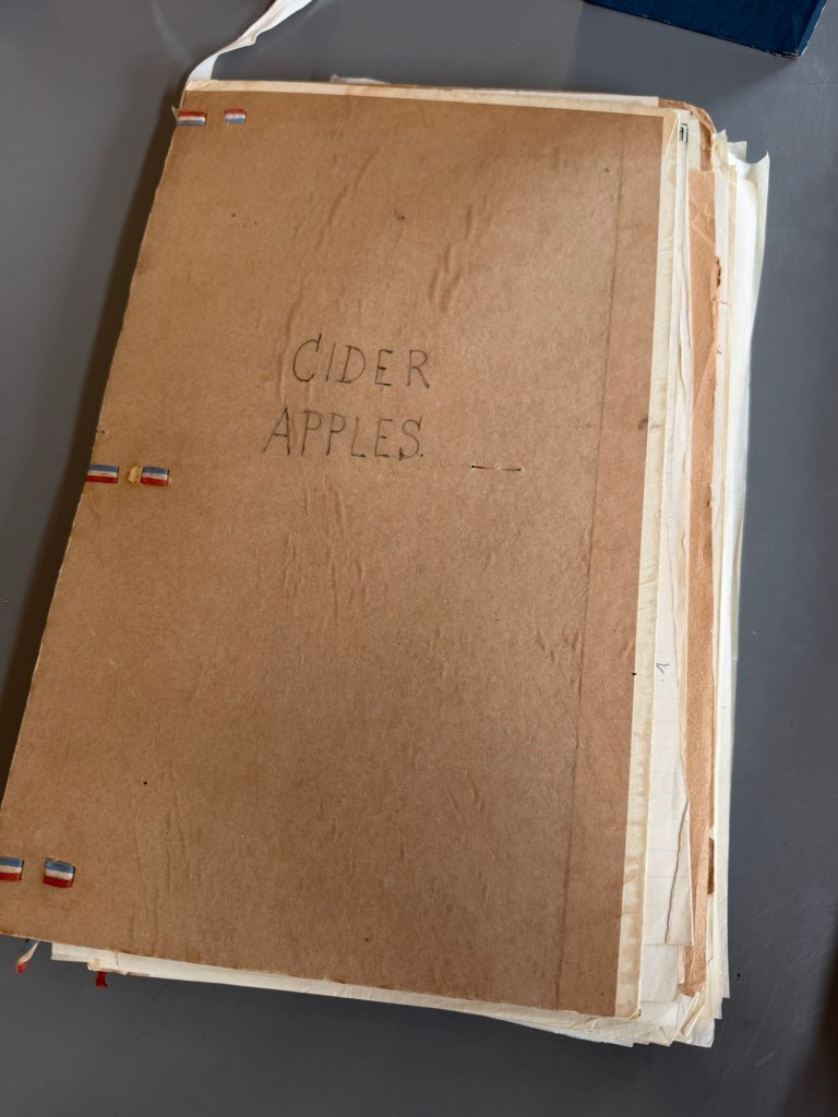 Herbert Edward Durham's Cider Apples pomona