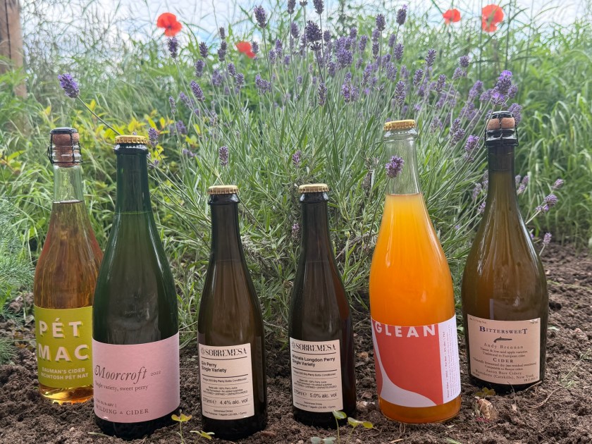 A selection of cider bottles out in the garden in summer