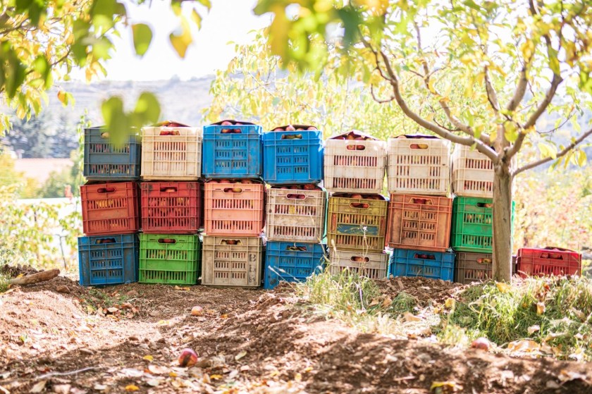 Apple crates